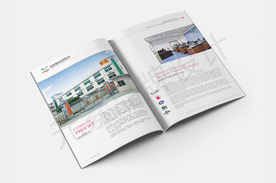 東莞一站式視覺營銷服務 畫冊設計、LOGO設計、網(wǎng)站建設與宣傳片拍攝制作全解析